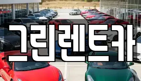 전북특별자치도 군산시 오룡동 렌트카 전문 그린렌트카