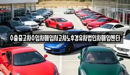 전북특별자치도 김제시 백학동 중고차매매,단기렌트카,중고차매입,장기렌트카,중고차,렌트카