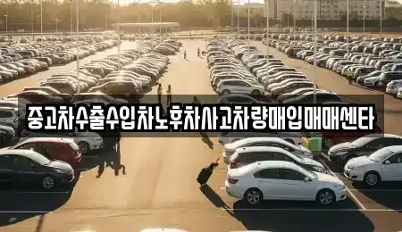 전북특별자치도 김제시 옥산동 중고차매입 전문 중고차수출수입차노후차사고차량매입매매센타