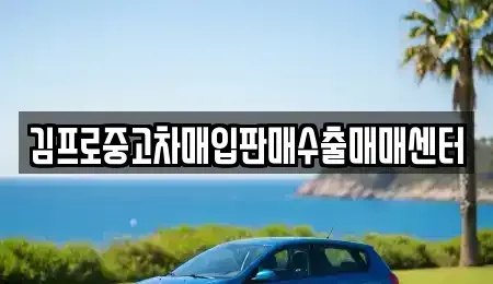 전북특별자치도 남원시 쌍교동 중고차매입 전문 김프로중고차매입판매수출매매센터