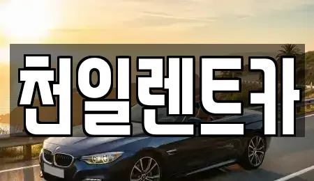 전북특별자치도 익산시 부송동 렌트카 전문 천일렌트카