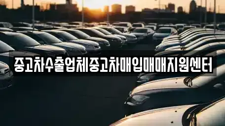 전북특별자치도 익산시 부송동 중고차매입 전문 중고차수출업체중고차매입매매지원센터