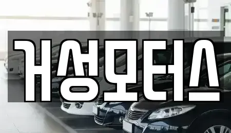 전북특별자치도 전주시 덕진구 송천동2가 중고차매매 전문 거성모터스