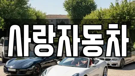 전북특별자치도 전주시 덕진구 송천동2가 중고차매매 전문 사랑자동차