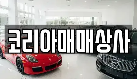 전북특별자치도 전주시 덕진구 송천동2가 중고차매매 전문 코리아매매상사