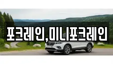 전북특별자치도 전주시 덕진구 송천동2가 중고차매입 전문 포크레인,미니포크레인