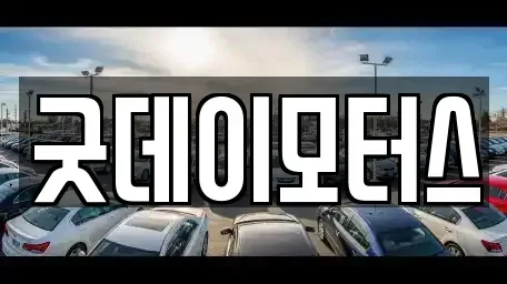 전북특별자치도 전주시 덕진구 원동 중고차 전문 굿데이모터스