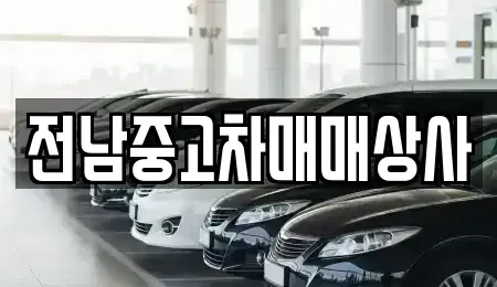 전북특별자치도 전주시 덕진구 원동 렌트카,단기렌트카,장기렌트카,중고차,중고차매매,중고차매입