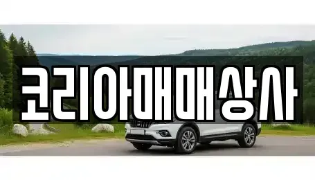 전북특별자치도 전주시 덕진구 원동 중고차 전문 코리아매매상사