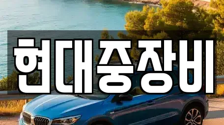 전북특별자치도 전주시 덕진구 원동 중고차 전문 현대중장비