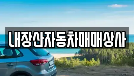전북특별자치도 정읍시 신월동 중고차매매 전문 내장산자동차매매상사