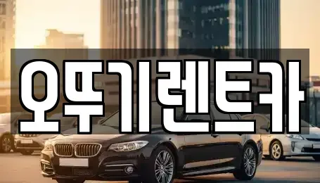 전북특별자치도 정읍시 연지동 렌트카 전문 오뚜기렌트카