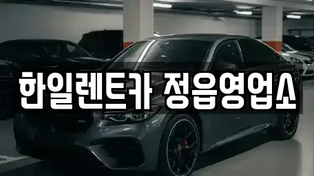 전북특별자치도 정읍시 연지동 렌트카,단기렌트카,장기렌트카,중고차,중고차매매,중고차매입