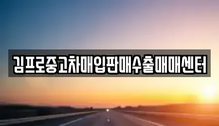 전북특별자치도 정읍시 연지동 중고차매입 전문 김프로중고차매입판매수출매매센터
