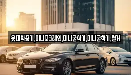 전북특별자치도 진안군 성수면 중고차 전문 옷대박중기,미니포크레인,미니굴삭기,미니굴착기,철거