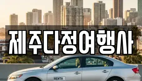 제주 제주시 이도일동 렌트카 전문 제주다정여행사