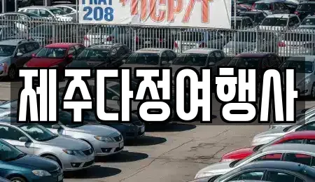 제주 제주시 이도일동 렌트카 전문 제주다정여행사