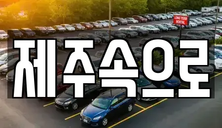 제주 제주시 이도일동 렌트카 전문 제주속으로