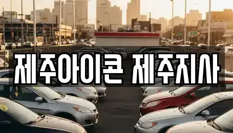 제주 제주시 이도일동 렌트카 전문 제주아이콘 제주지사