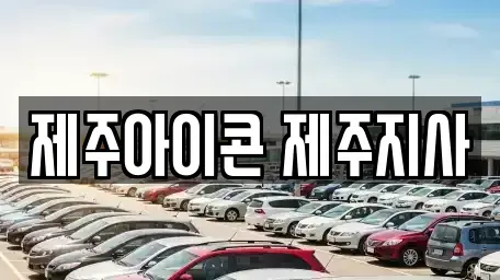 제주 제주시 이도일동 렌트카 전문 제주아이콘 제주지사