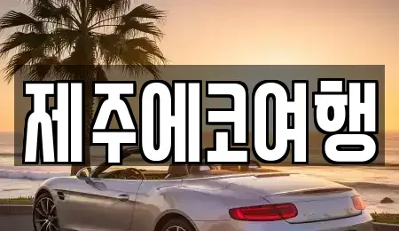 제주 제주시 이도일동 렌트카 전문 제주에코여행