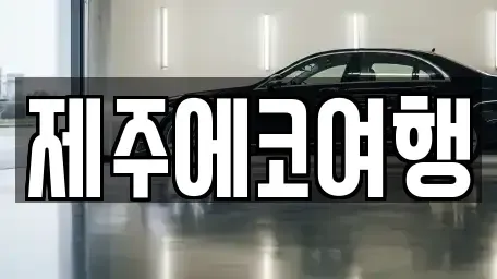 제주 제주시 이도일동 렌트카 전문 제주에코여행