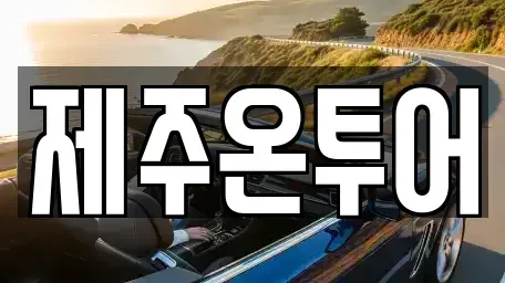제주 제주시 이도일동 렌트카 전문 제주온투어