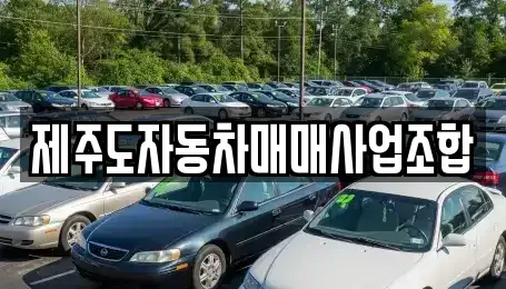제주 제주시 이도일동 중고차 전문 제주도자동차매매사업조합