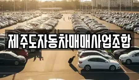 제주 제주시 이도일동 중고차 전문 제주도자동차매매사업조합