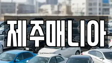 제주 제주시 일도이동 렌트카 전문 제주매니아