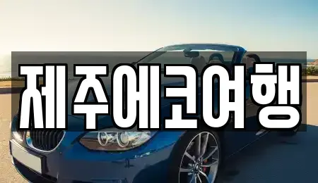 제주 제주시 일도이동 렌트카 전문 제주에코여행