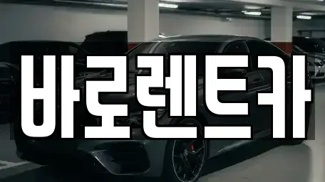제주특별자치도 제주시 도남동 렌트카 전문 바로렌트카