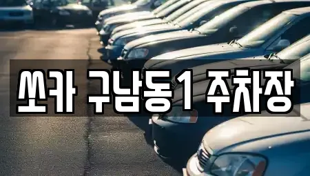 제주특별자치도 제주시 도남동 렌트카 전문 쏘카 구남동1 주차장