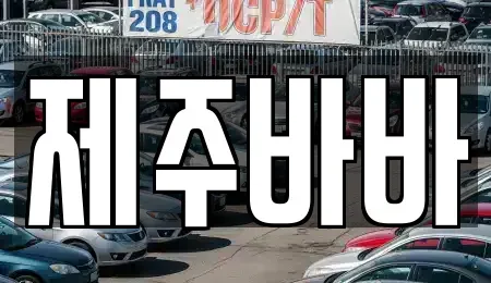 제주특별자치도 제주시 도남동 렌트카,단기렌트카,장기렌트카,중고차,중고차매매,중고차매입