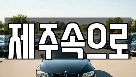 제주특별자치도 제주시 도남동 렌트카 전문 제주속으로
