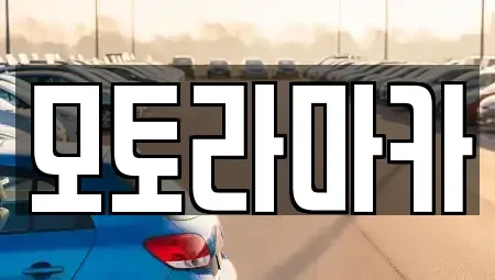 제주특별자치도 제주시 도남동 중고차 전문 모토라마카