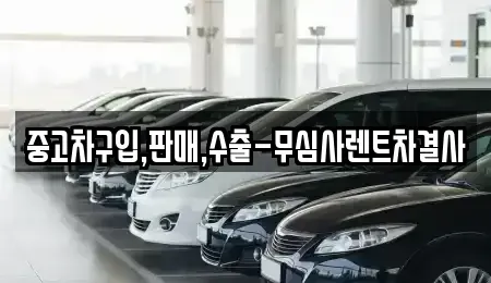 제주특별자치도 제주시 도두이동 중고차 전문 중고차구입,판매,수출-무심사렌트차결사
