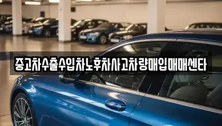 제주특별자치도 제주시 삼도이동 중고차매매,단기렌트카,중고차매입,장기렌트카,중고차,렌트카