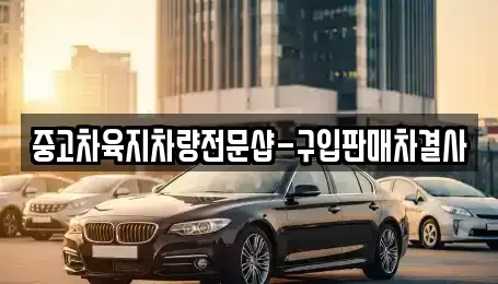 제주특별자치도 제주시 삼도이동 중고차매매 전문 중고차육지차량전문샵-구입판매차결사