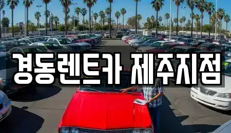 제주특별자치도 제주시 애월읍 단기렌트카 전문 경동렌트카 제주지점