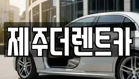 제주특별자치도 제주시 애월읍 렌트카 전문 제주더렌트카