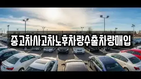충남 공주시 금성동 중고차매매 전문 중고차사고차노후차량수출차량매입