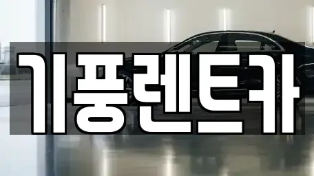 충남 공주시 신관동 렌트카 전문 기풍렌트카
