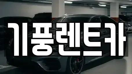 충남 공주시 신관동 렌트카 전문 기풍렌트카