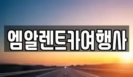 충남 공주시 신관동 렌트카 전문 엠알렌트카여행사