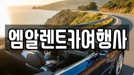 충남 공주시 신관동 렌트카 전문 엠알렌트카여행사