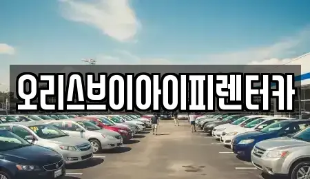 충남 공주시 신관동 렌트카 전문 오리스브이아이피렌터카