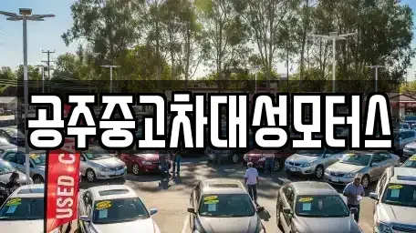 충남 공주시 신관동 중고차 전문 공주중고차대성모터스