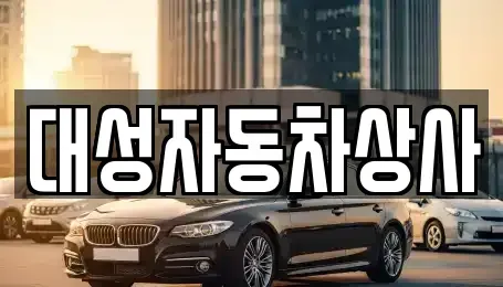 충남 공주시 신관동 중고차 전문 대성자동차상사