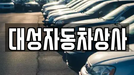 충남 공주시 신관동 중고차매매 전문 대성자동차상사